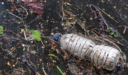 plastic bottle in water