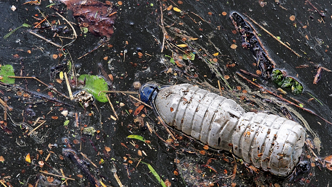 plastic bottle in water